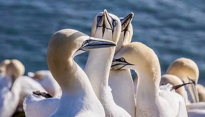 leyu乐鱼-NBA球员训练技术创新，nba球员日常训练项目