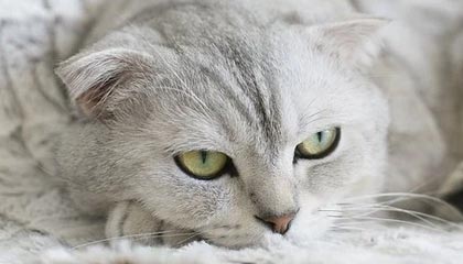 leyu乐鱼-NBA球员训练技术创新，nba球员日常训练项目