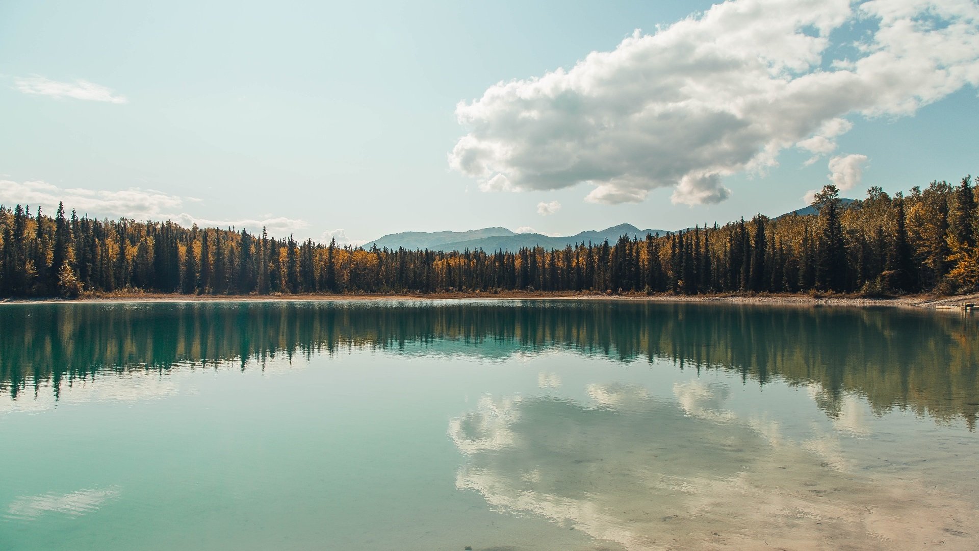 NB Staouéli 胜 USM Alger,6 月夺得阿尔及利亚杯赛冠军,阿尔及利亚乙组联赛积分榜
