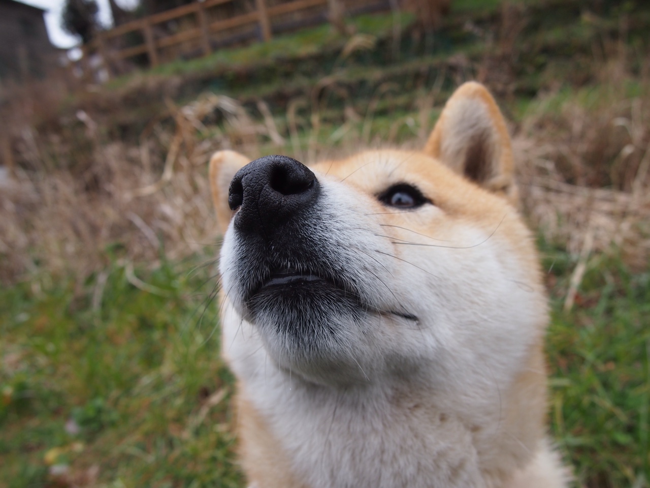 中国女篮集训正式启动 目标明确备战奥运,中国女篮集训名单出炉