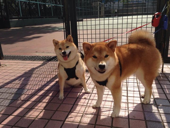 乐鱼体育(中国)官方网站-争冠球队防守稳定性是否优于争四球队，争球权是什么意思