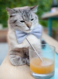 五大联赛攻防转换速度对比赛节奏影响探讨,五大联赛射门转化率