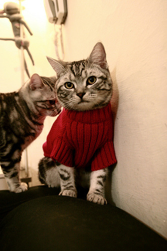 亚冠小组赛悬念丛生晋级形势复杂,亚冠小组第二