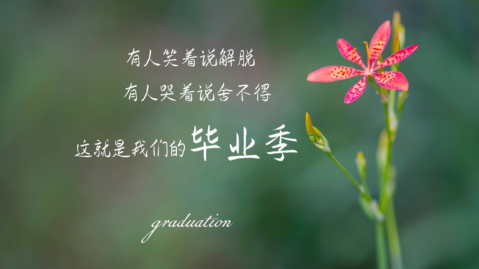 俱乐部管理制度改革缓慢推进,俱乐部管理规定