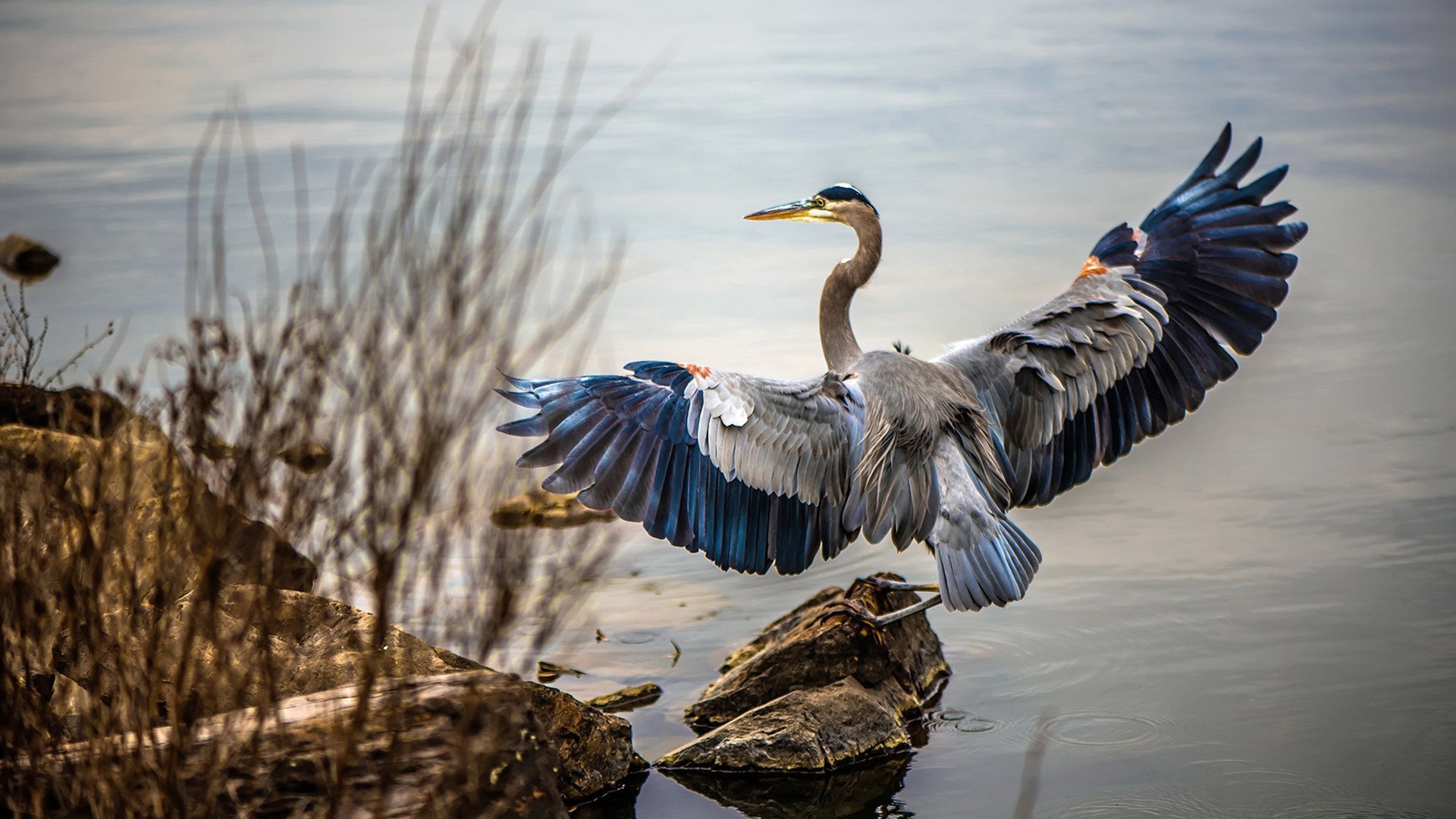 奥预赛中国青年队夺冠 数据表现抢眼,青奥会选拔赛成绩