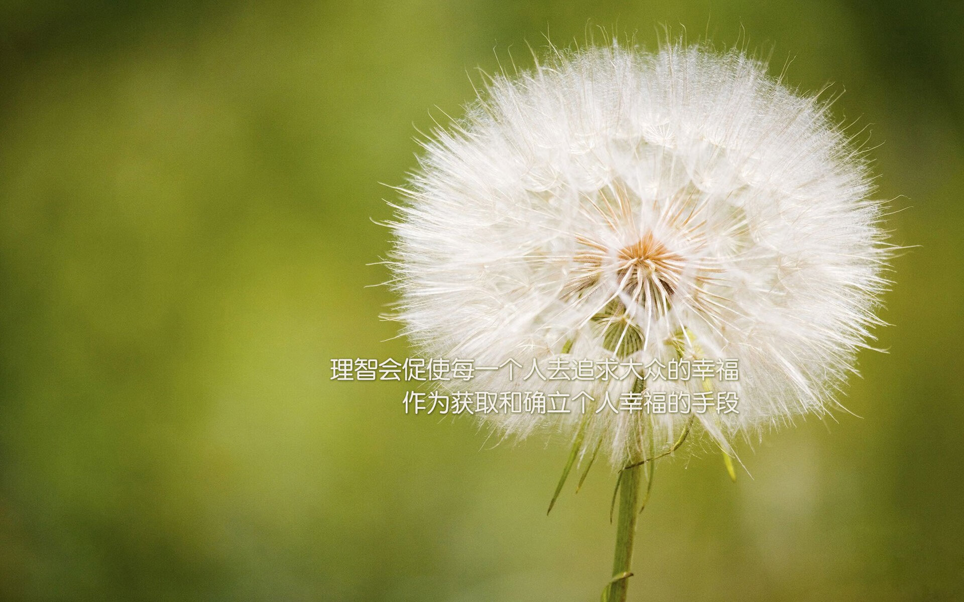 下载乐鱼体育APP-新加坡队的未来：科技与创新如何助力未来赛事中的胜利，新加坡小组赛