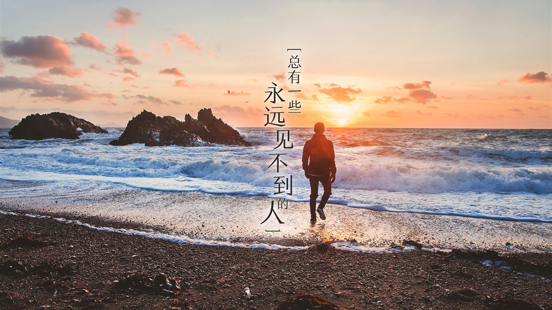 辽宁飞豹球员训练强度加大备战季后赛,辽宁飞豹现役球员