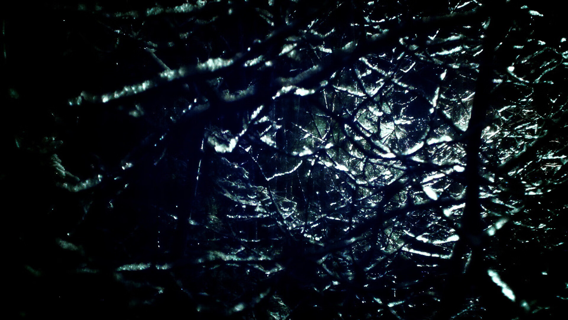 中国足球联赛球迷互动平台功能升级,中国足球球队app