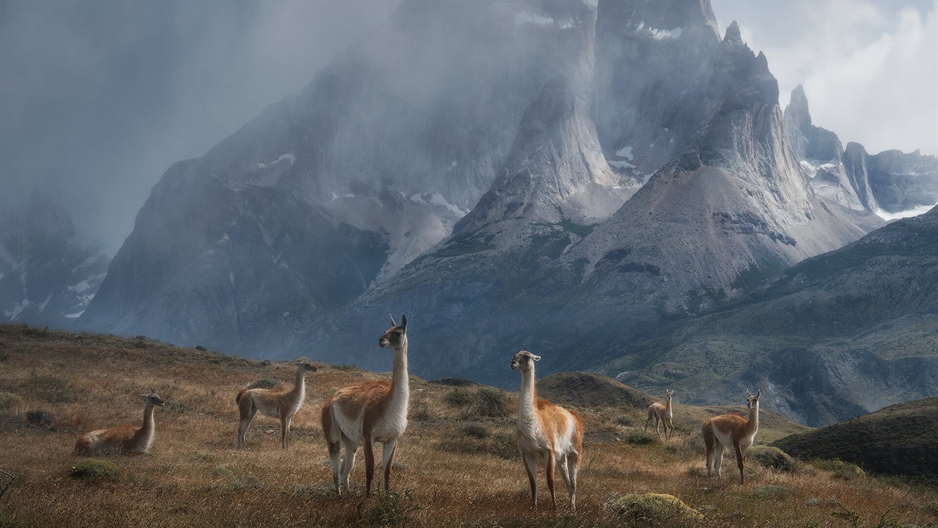 中国足球联赛球迷互动平台功能升级,中国足球球队app