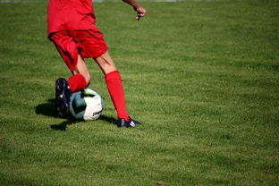 乐鱼vip-中国足球青训体系引进国际先进训练理念，中国足球青训体系是什么