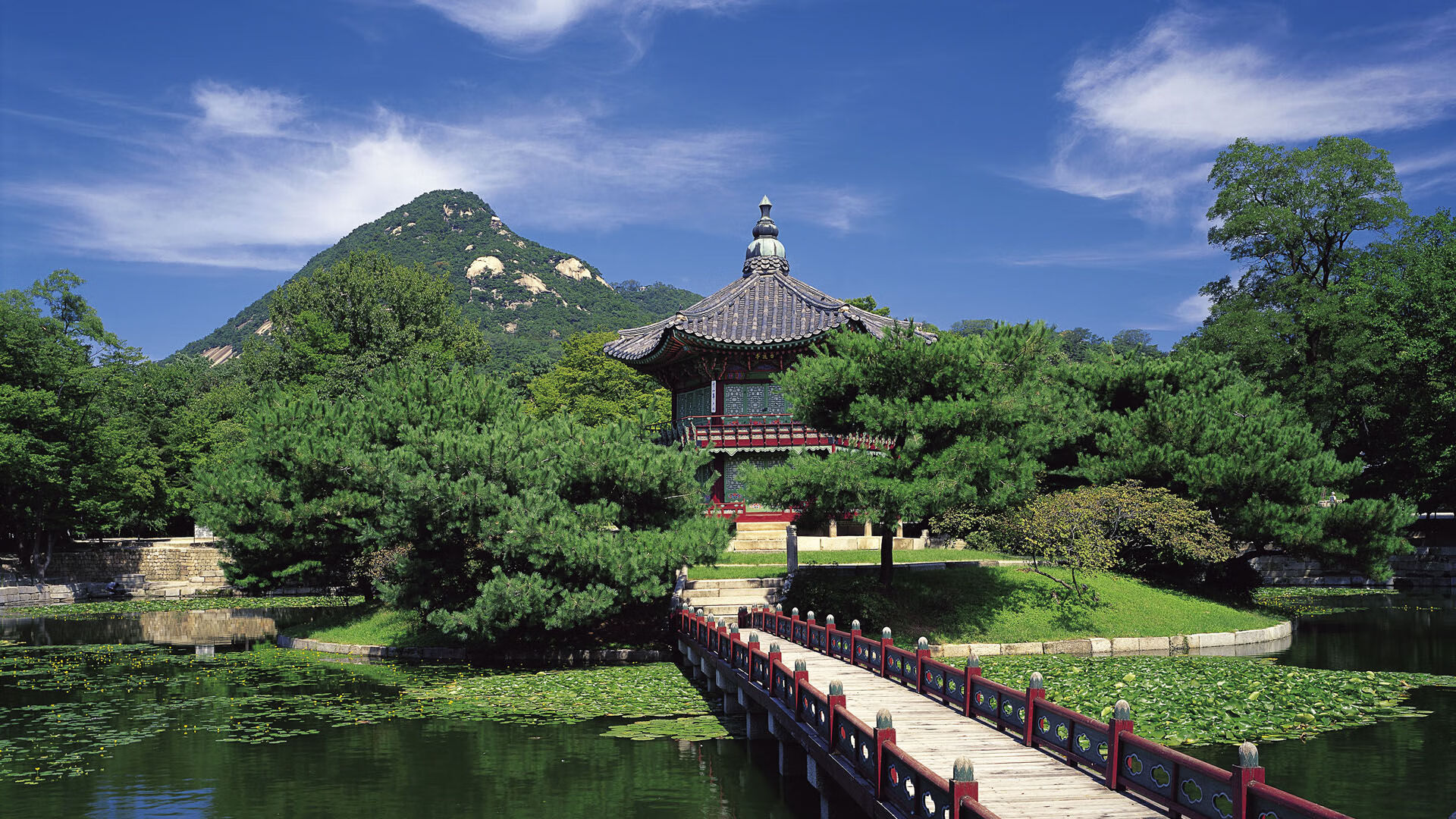 乐鱼官网-卡特的全局思维和精准踢球技术让对方无法应对，卡特球员