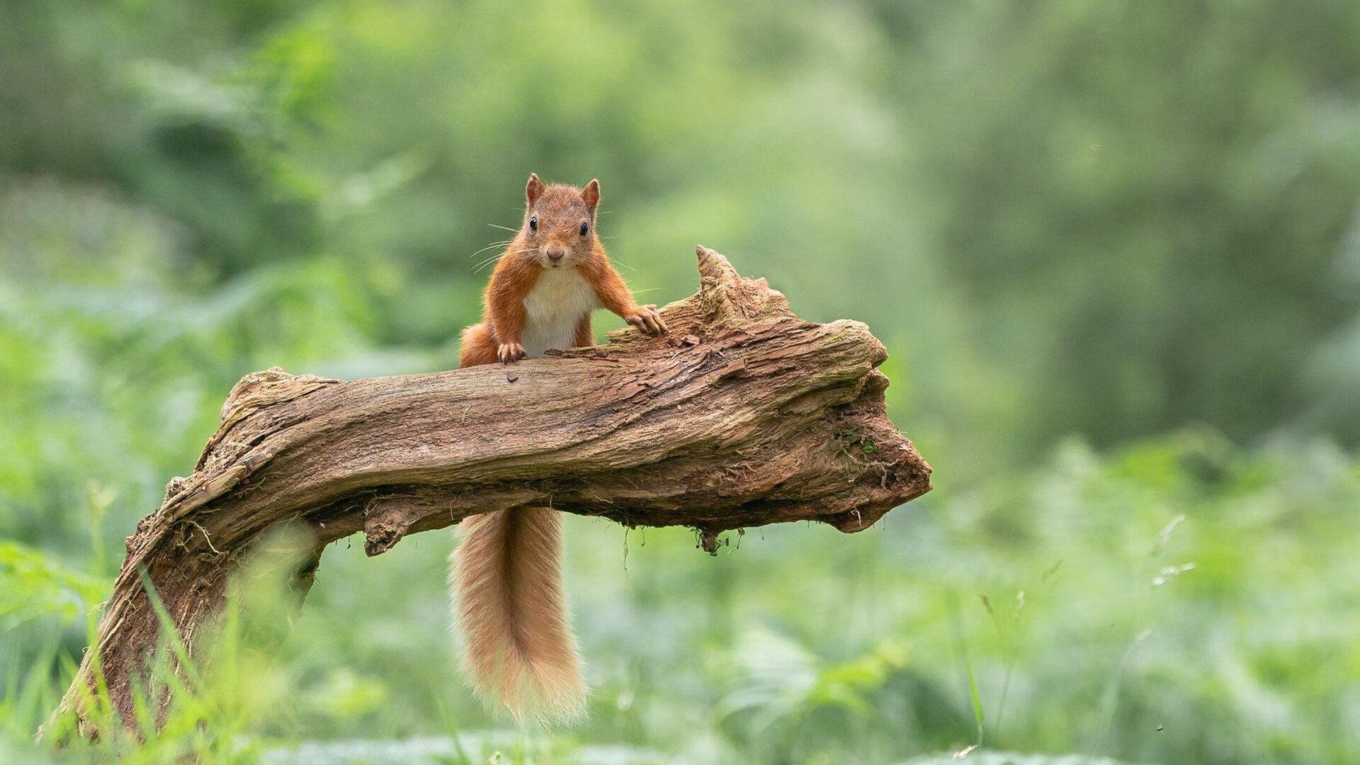 乐鱼官网-女子联赛推动差旅标准升级保障球员参赛舒适度