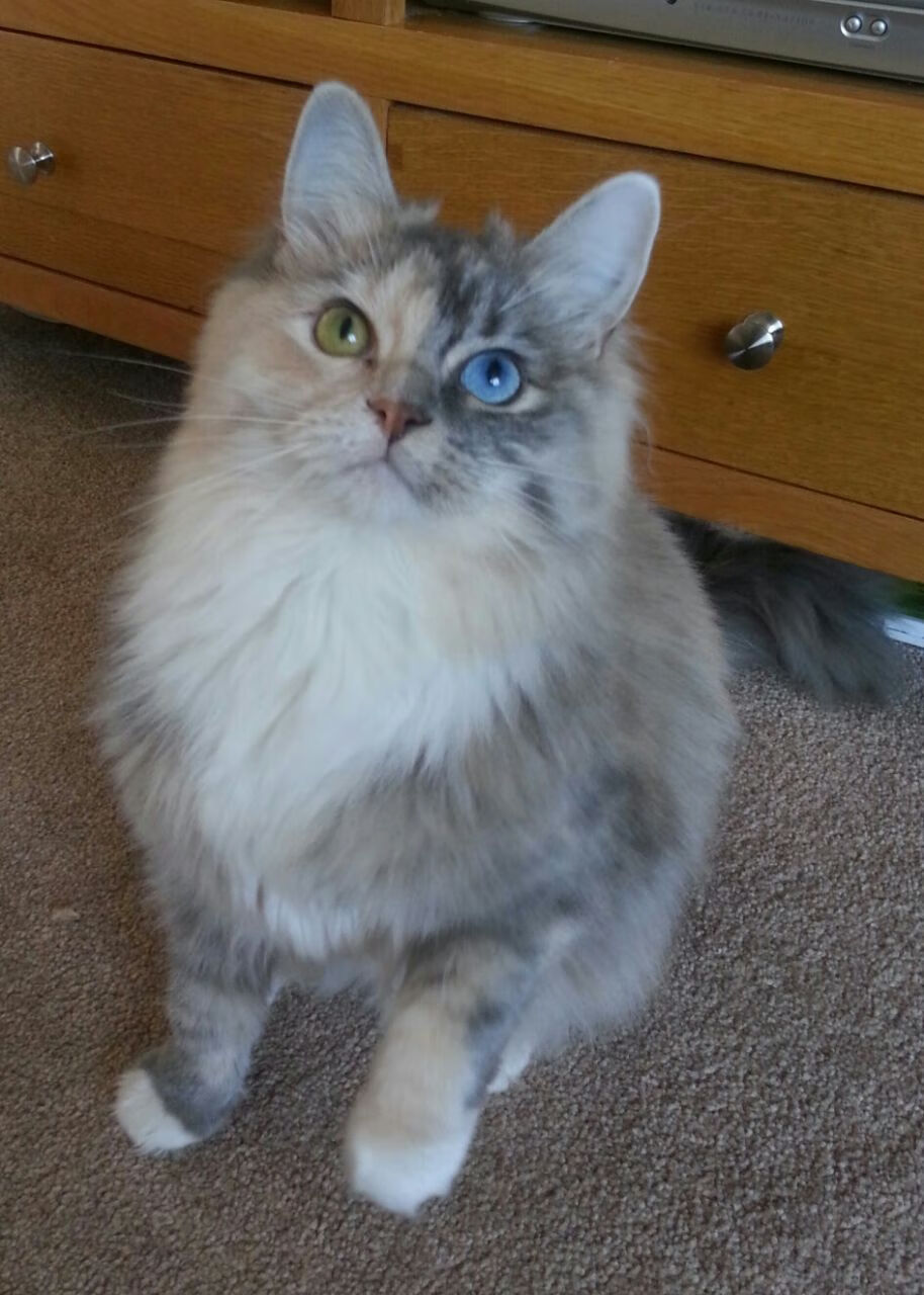 女子联赛推动差旅标准升级保障球员参赛舒适度