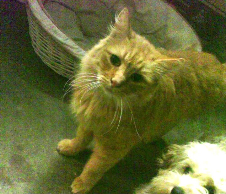 乐鱼（LEYU）体育-巴特尔的全场防守展现了袋鼠队攻防平衡的重要性，巴特尔代言的篮球鞋