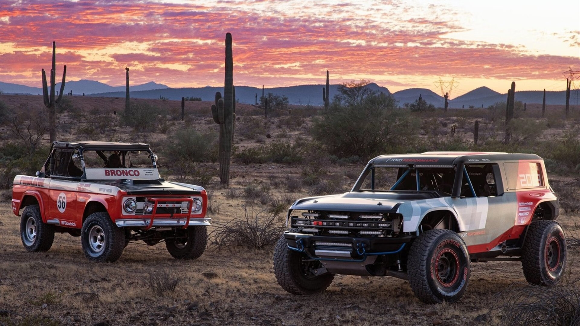 希腊男篮在欧洲锦标赛中再度夺冠,持续稳固王者地位,希腊男蓝
