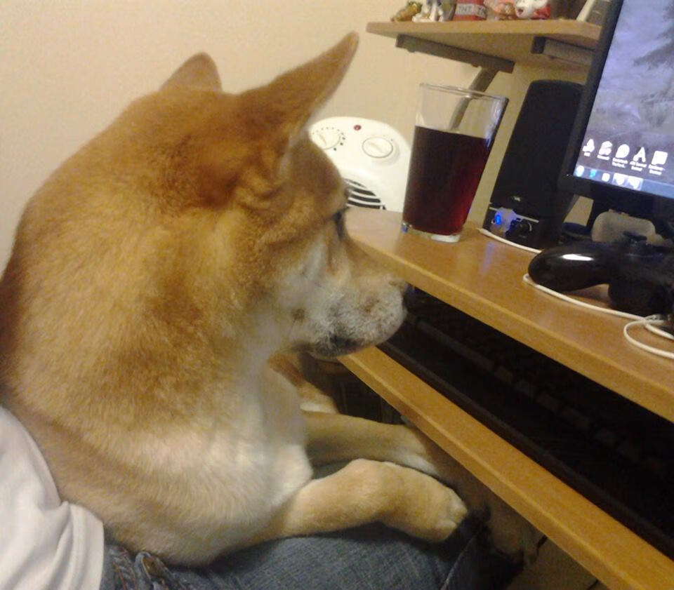 普里戈达全程控节奏 跃水果敢,普里戈任