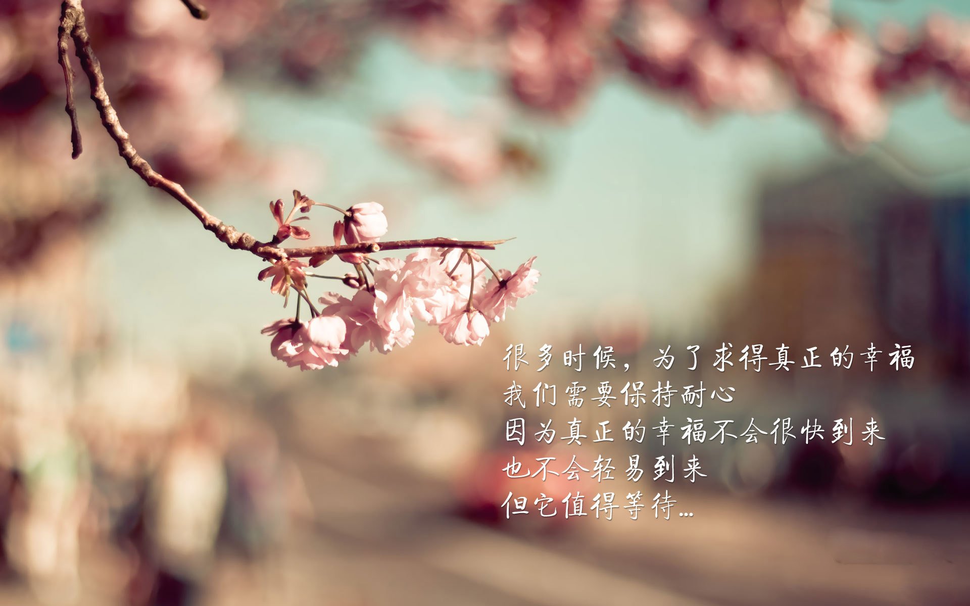 APP下载 LY Sports-水球比赛朝鲜防线严密，水球比赛曝光合集